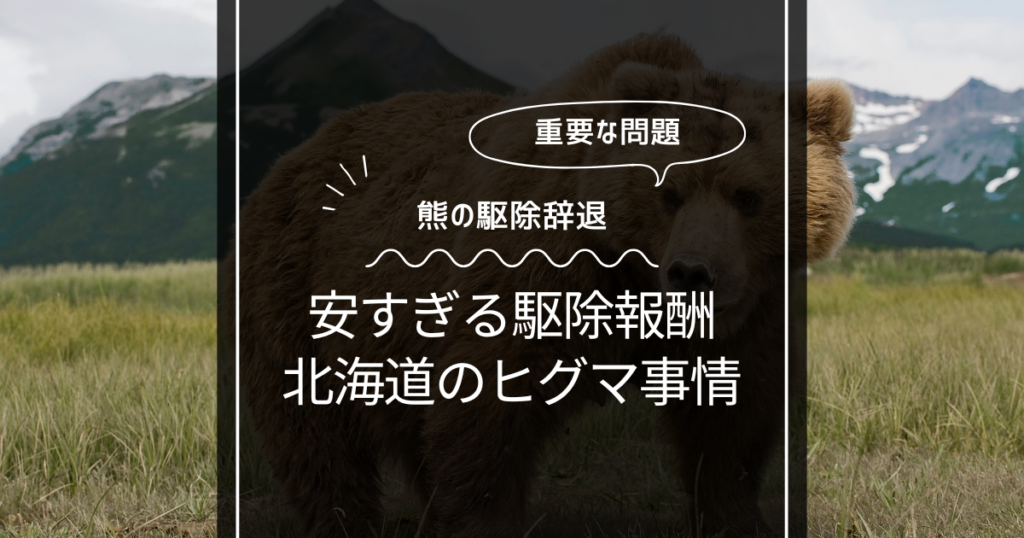 ハンター辞退する安すぎる熊の駆除報酬！北海道のリアルなヒグマ事情！