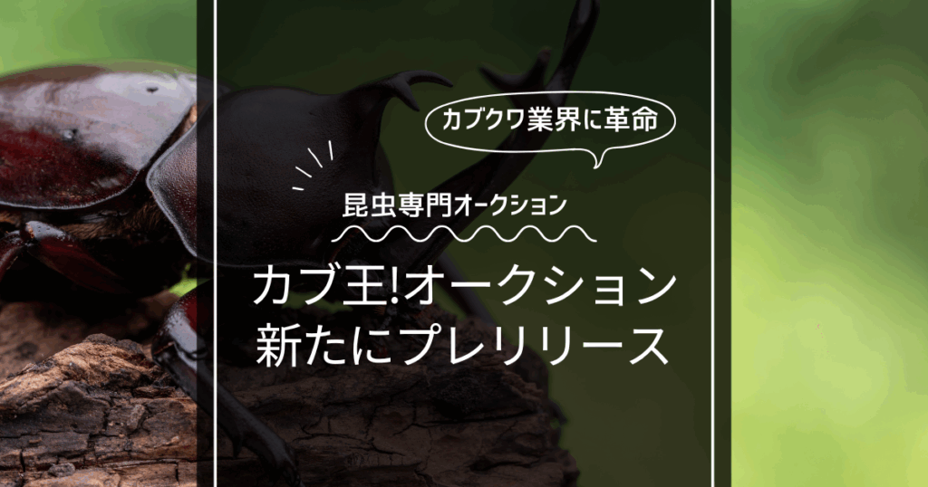 【カブトムシ・クワガタ業界に革命!?】カブトムシ・クワガタ専門の「カブ王!オークション」プレリリース！