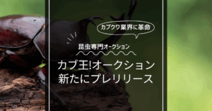【カブトムシ・クワガタ業界に革命!?】カブトムシ・クワガタ専門の「カブ王!オークション」プレリリース！