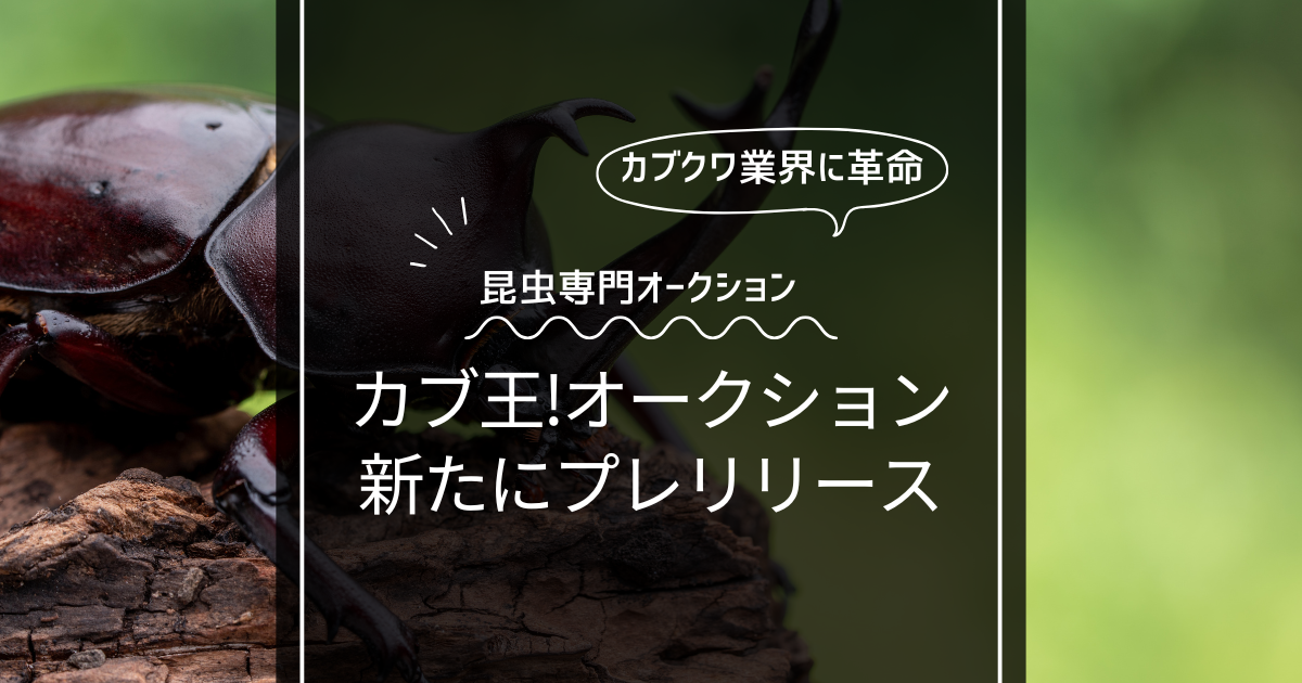 【カブトムシ・クワガタ業界に革命!?】カブトムシ・クワガタ専門の「カブ王!オークション」プレリリース！